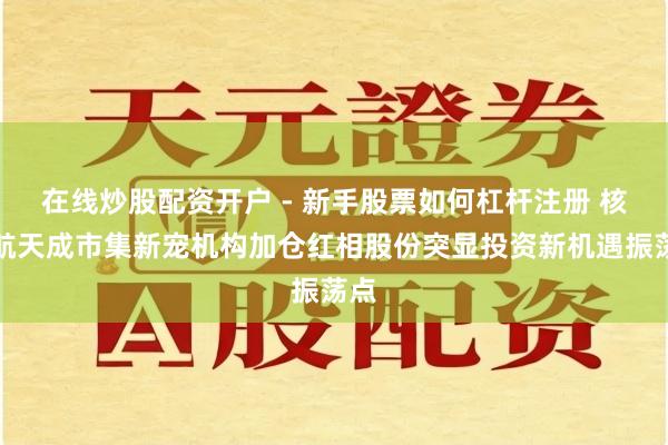 在线炒股配资开户 - 新手股票如何杠杆注册 核电航天成市集新宠机构加仓红相股份突显投资新机遇振荡点